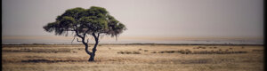 2409_namibia_12-08-26.jpeg