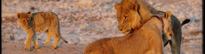 2262_namibia_11-08-26.jpeg