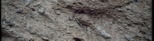 2042_namibia_06-08-26.jpeg