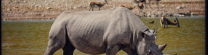 2341_namibia_11-08-26.jpeg