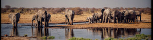 2430_namibia_12-08-26.jpeg