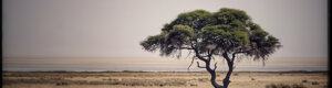 2410_namibia_12-08-26.jpeg