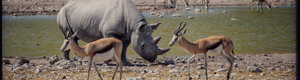 2339_namibia_11-08-26.jpeg