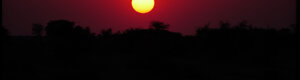 1905_namibia_04-08-26.jpeg
