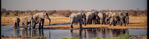 2431_namibia_12-08-26.jpeg