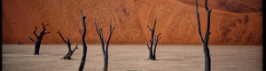 2015_namibia_06-08-26.jpeg