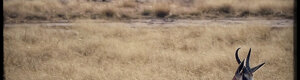 1878_namibia_04-08-26.jpeg