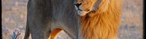 2280_namibia_11-08-26.jpeg