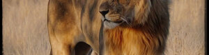 2292_namibia_11-08-26.jpeg