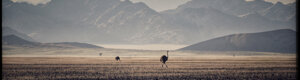 1975_namibia_06-08-26.jpeg
