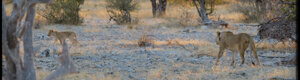 2287_namibia_11-08-26.jpeg