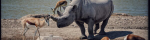 2347_namibia_11-08-26.jpeg