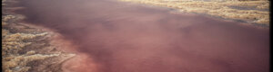 2140_namibia_08-08-26.jpeg