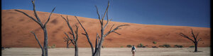 2026_namibia_06-08-26.jpeg