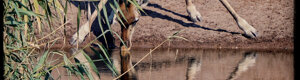 2427_namibia_12-08-26.jpeg