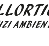 livello%208