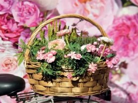 50e8abcbe1b123a7a5487e1dc65c82baf3dcfed6 50e8abcbe1b123a7a5487e1dc65c82baf3dcfed6