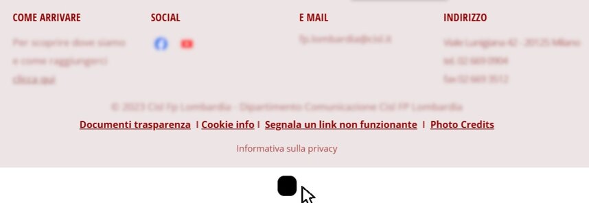 immagine cookie.jpeg immagine cookie.jpeg