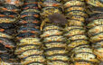 cebffe24a5ddc57497e7b071f6dc429164bc716c