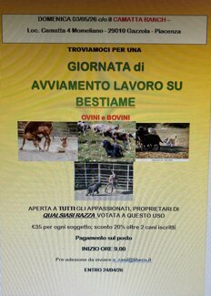 whatsapp image 2026-04-11 at 16.11.15.jpeg