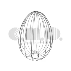 Telaio cupola in filo di ferro con struttura a uovo, per ricorrenza Pasquale dal design leggero Telaio cupola in filo di ferro con struttura a uovo, per ricorrenza Pasquale dal design leggero