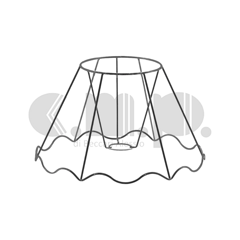 tulipano