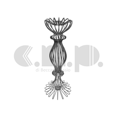 virgo