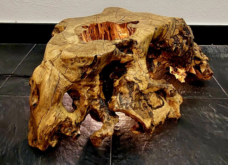 lampada-da-terra-in-radice-di-ulivo-con-lampadina