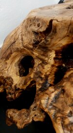 lampada-da-terra-in-radice-di-ulivo-con-lampadina