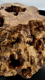 lampada-da-terra-in-radice-di-ulivo-con-lampadina