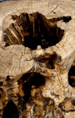 lampada-da-terra-in-radice-di-ulivo-con-lampadina