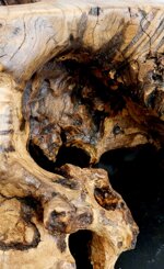 lampada-da-terra-in-radice-di-ulivo-con-lampadina