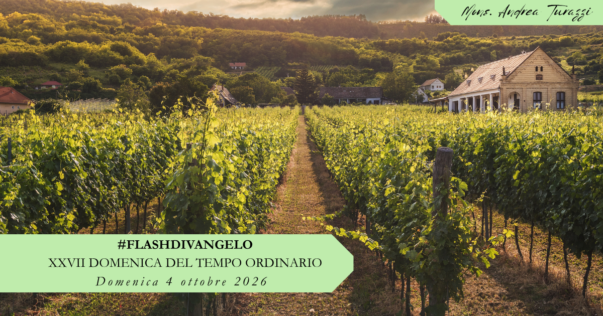 #flashdiVangelo - XXVII domenica del Tempo Ordinario