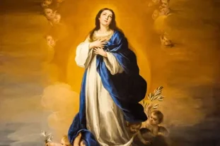 3488032_limmacolata-tota-pulchra-jpg 3488032_limmacolata-tota-pulchra-jpg