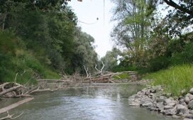 1f3e41394241e52fedcbb7a24d61ff68b21ab657