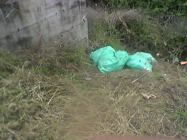 0d602519-67b5-46bd-96e5-1e7e2349d398