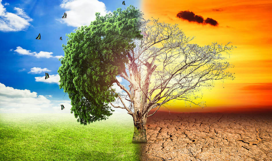 I Cambiamenti Climatici