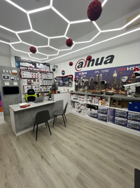 dplstore hikvision dahua vendita ingrosso installazione assistenza foggia puglia italia (2)