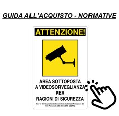 normative videosorveglianza antintrusione italia guida all acquisto sistemi di sicurezza hikvision dahua.jpeg
