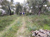 aef51c7a7201543bb19d5437640f319f4c955b36