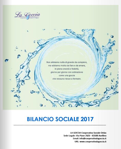 Il nostro Bilancio Sociale - anno 2017