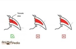 0a9e28d638f1b83d8af41e4e91228a74e9ec304b