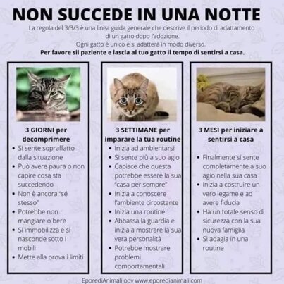 82a5a73a3c012aafb5f09386f237662296174244