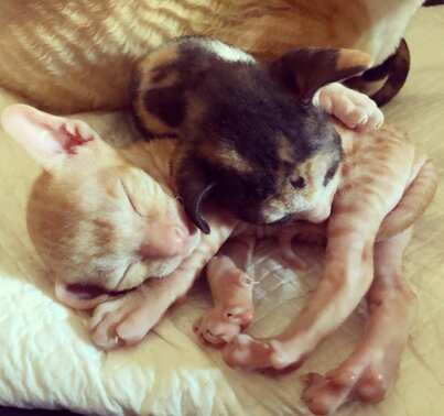 9a608a2fea289a1cca4fcefc61813586d206c440 9a608a2fea289a1cca4fcefc61813586d206c440