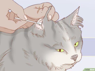 afca9031743e45c41ccc7fcb19117b77155c14dc