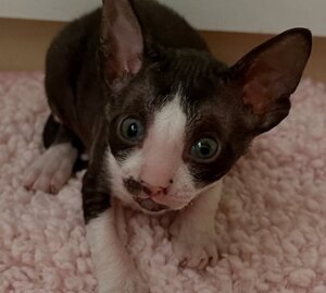 5f8bf2e2db445daf6575d4327bc9c6aa214ce1a2