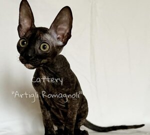 203d986bdc3732d284f6b3c9e3382c640e4cbf20