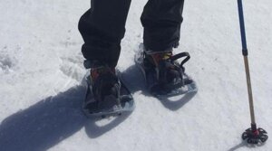 1e8e33ccfc5234e069325747ed3f8a4dd00be8bc 1e8e33ccfc5234e069325747ed3f8a4dd00be8bc