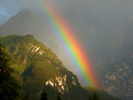 58deb8beb2f4175c731635d26f0b92239b4a7a39