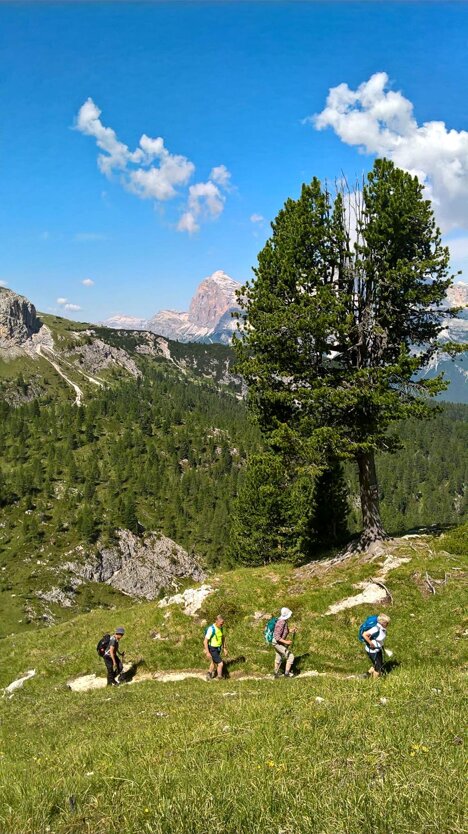 86c123a3ee144b9e4d31c08d64605a46544c0cc1